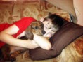 /album/fotogaleria-goofy-star-moravia/zvolen-20120603-00044-jpg/